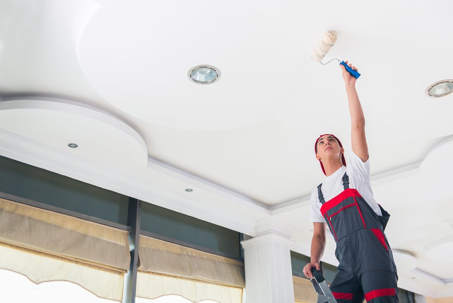 Young Painter Painting the Ceiling 